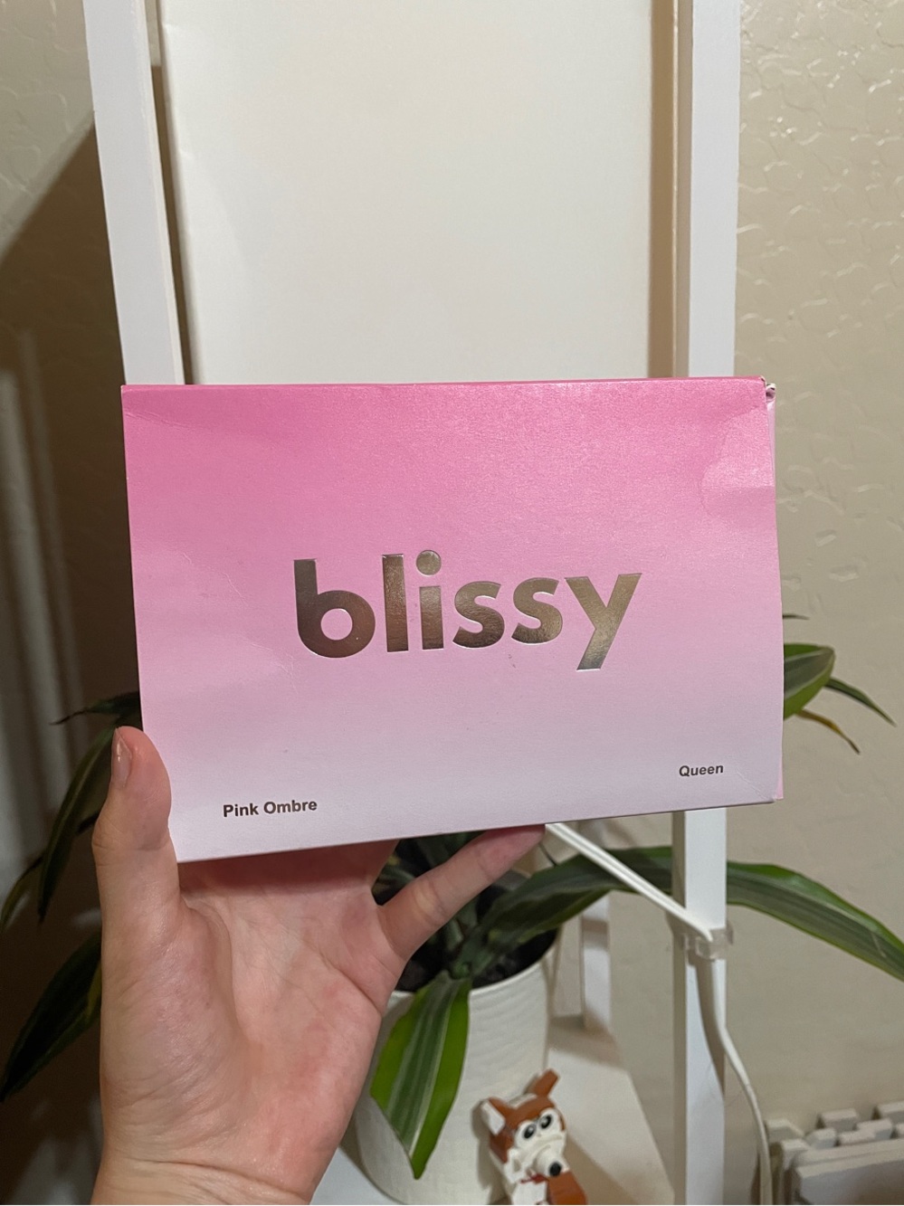 Blissy 100% Pure Mulberry Silk Pillowcase - Pink Ombre